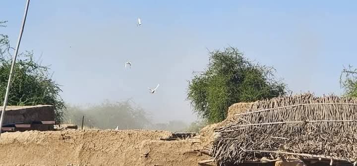 قتلى وجرحى في قصف الدعم السريع لمعسكرات النازحين بمدينة الفاشر