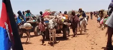 مجلس الأمم المتحدة لحقوق الإنسان يأمر بفتح تحقيق عاجل في انتهاكات الفاشر