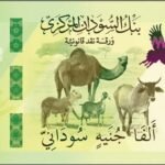 بنك السودان يصدر فئات نقدية جديدة وسط تحذيرات من تفاقم التضخم