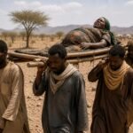 على نقالة خشبية إلى غرفة الولادة.. نساء دارفور يقطعن ساعات بحثاً عن قيصرية تنقذ حياتهن