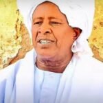 الإدارة الأهلية بغرب دارفور توقف إجراءات إنشاء النظارات القبلية