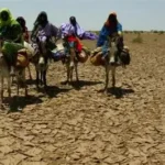 الجفاف يضرب مزارع شرق دارفور ومخاوف من صراع على المياه والمراعي