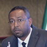 أمجد فريد: الإمارات استخدمت نفوذها بمجلس الأمن لتعطيل إحالة تقرير أممي إلى لجنة العقوبات